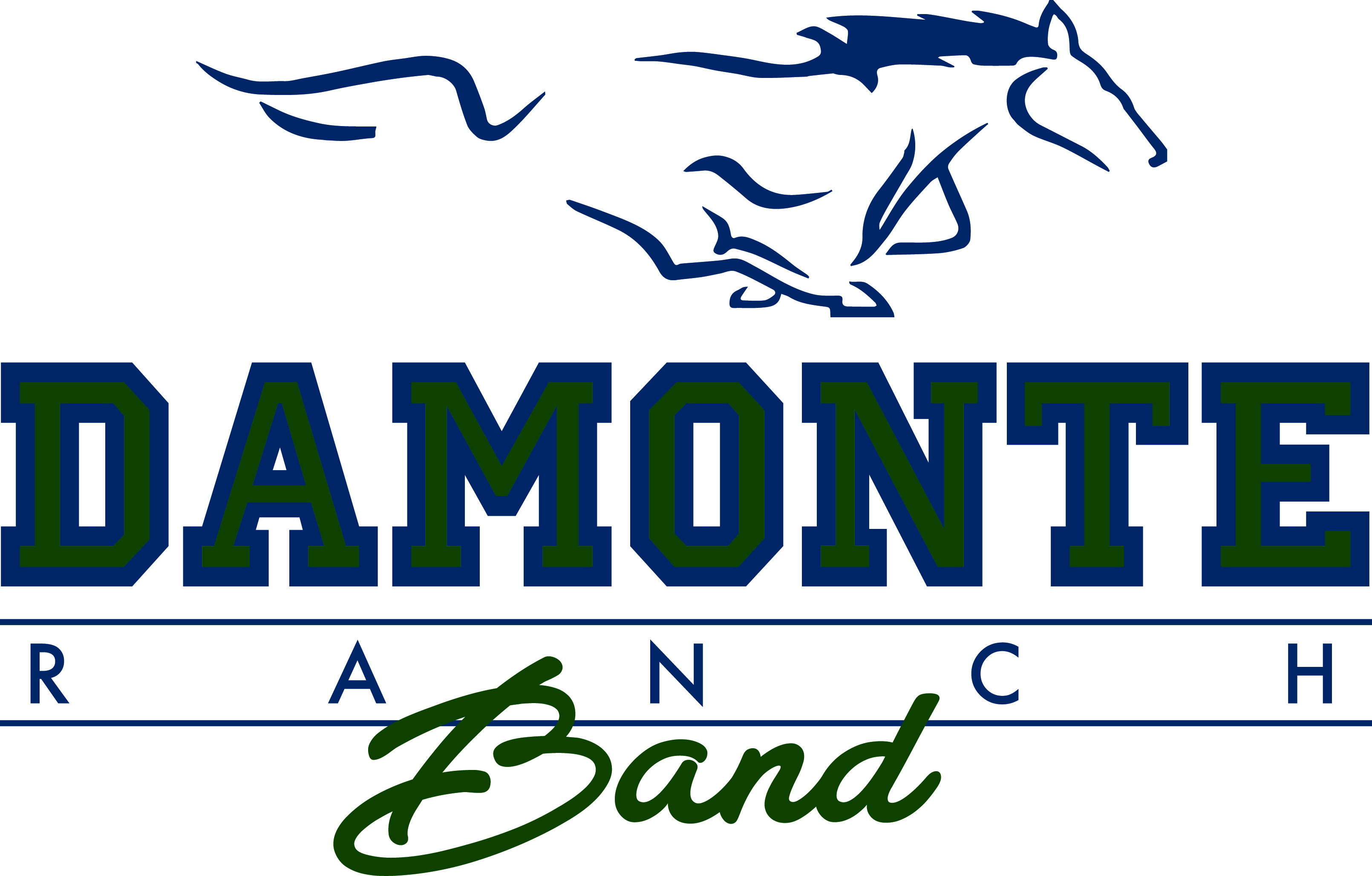 DRHS Band Graphic Damonte Ranch High School Band